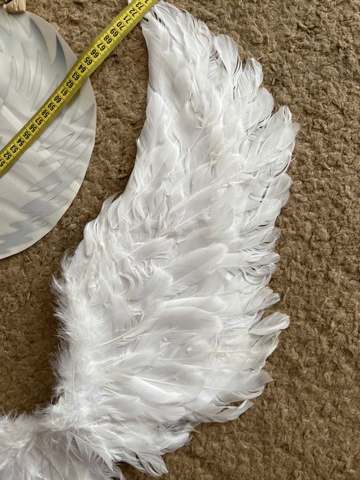 Крила для фотозони та тортика