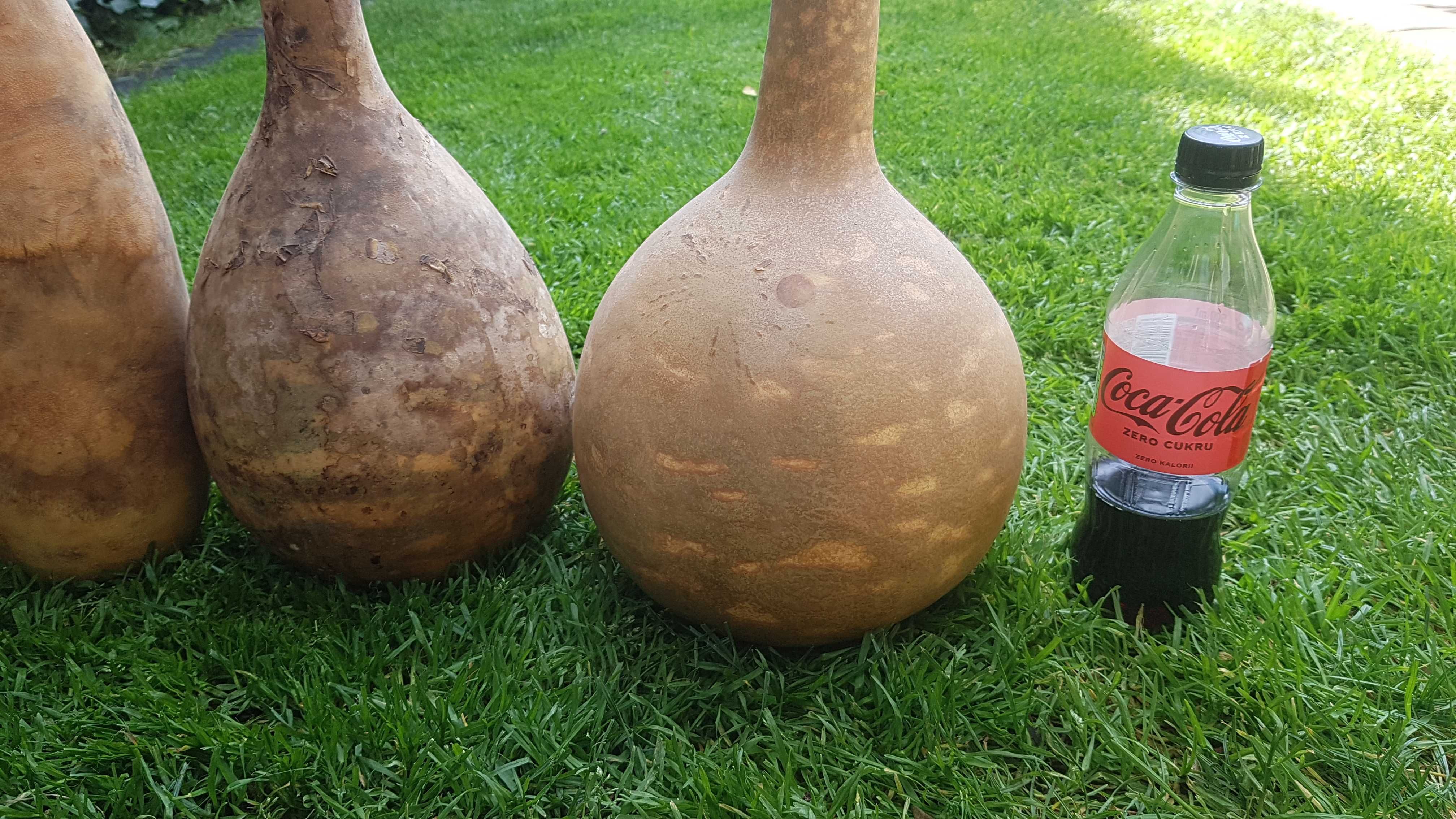 Duże tykwy, tykwa, calabash