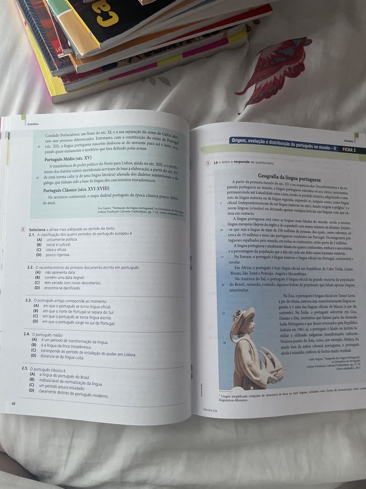 Caderno de atividades - Páginas 10º ano