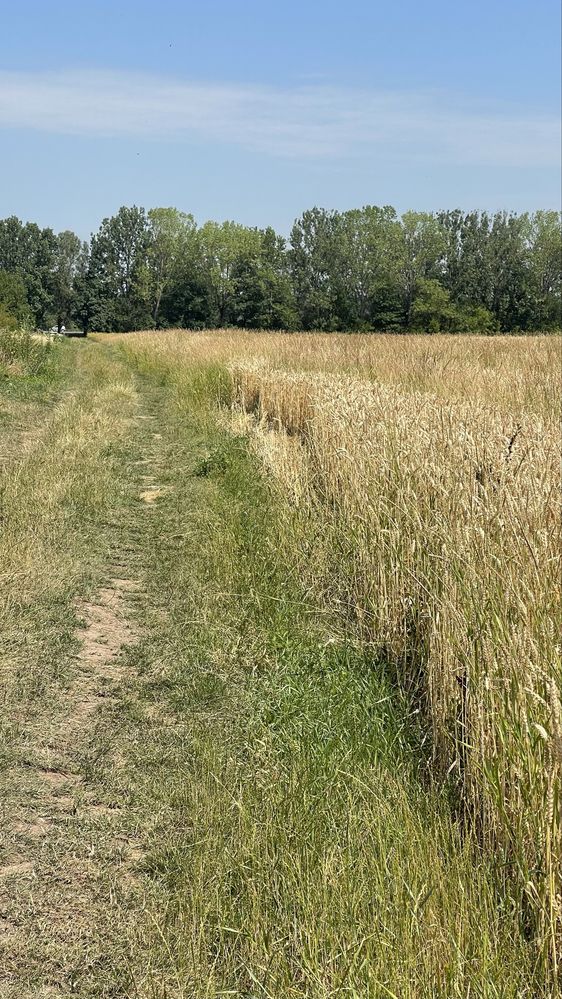Продається земельна ділнка під комерцію