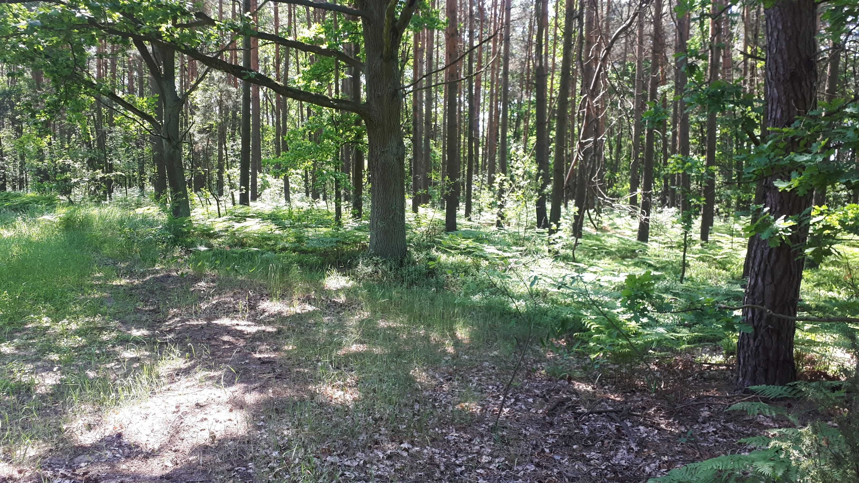 Działka rolna 9,66 ha