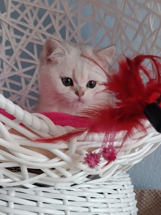 Пухнастий антистресик