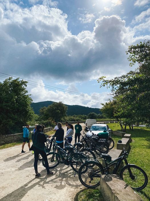 Transfer/Transporte Bicicletas e Bagagens e Pessoas