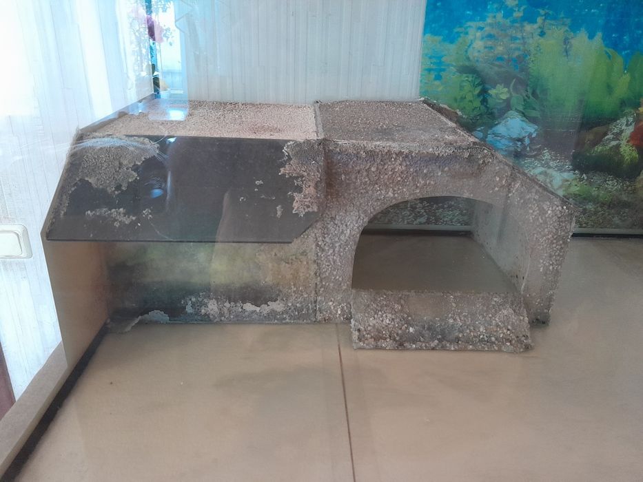 Большой аквариум-терариум.