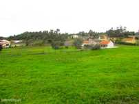 Terreno Urbanizável - 1,7ha - Torres Vedras - Ramalhal