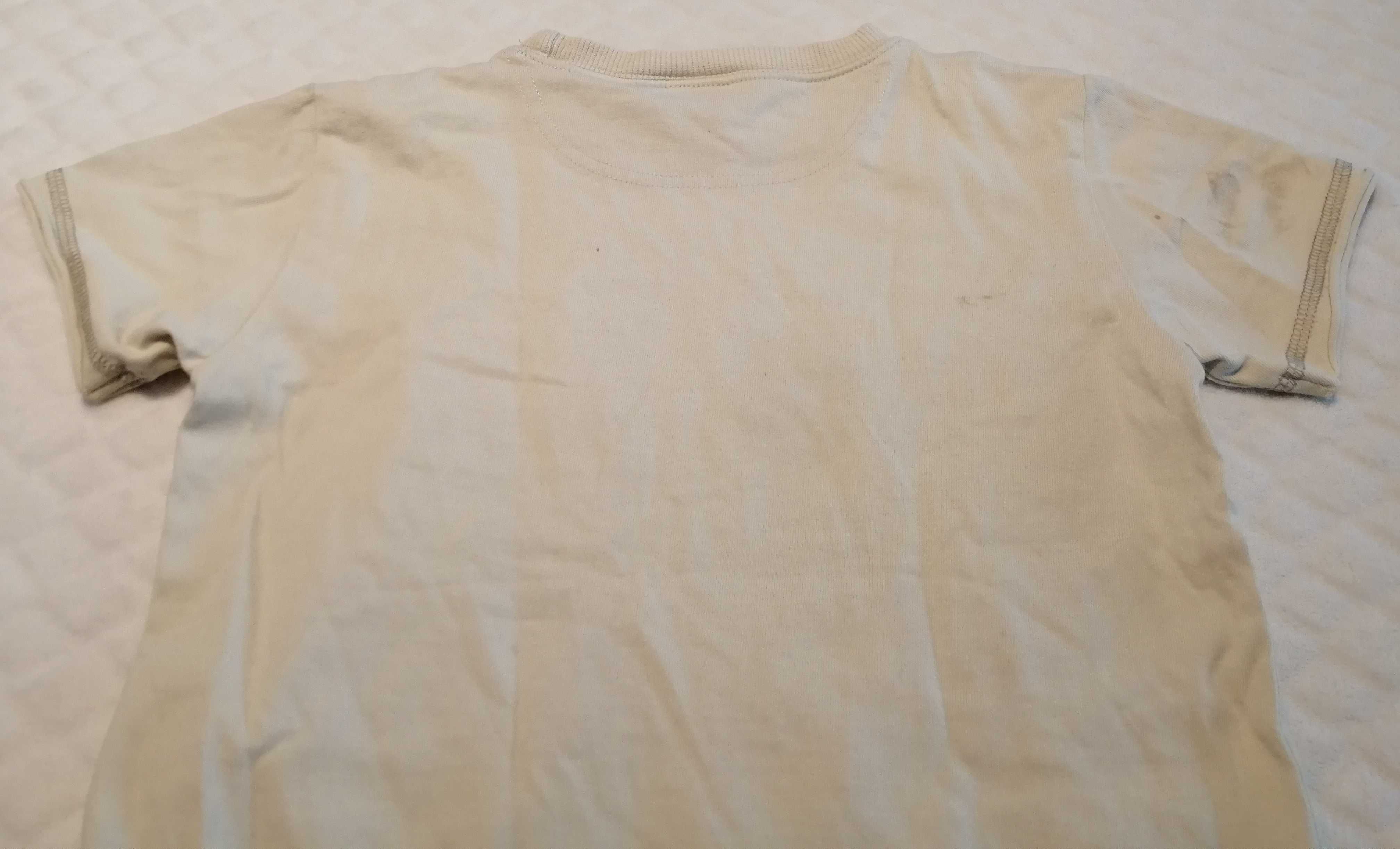 Koszulka, krótki rękaw, T-shirt, chłopięca, safari, 98, Next (Odzież)