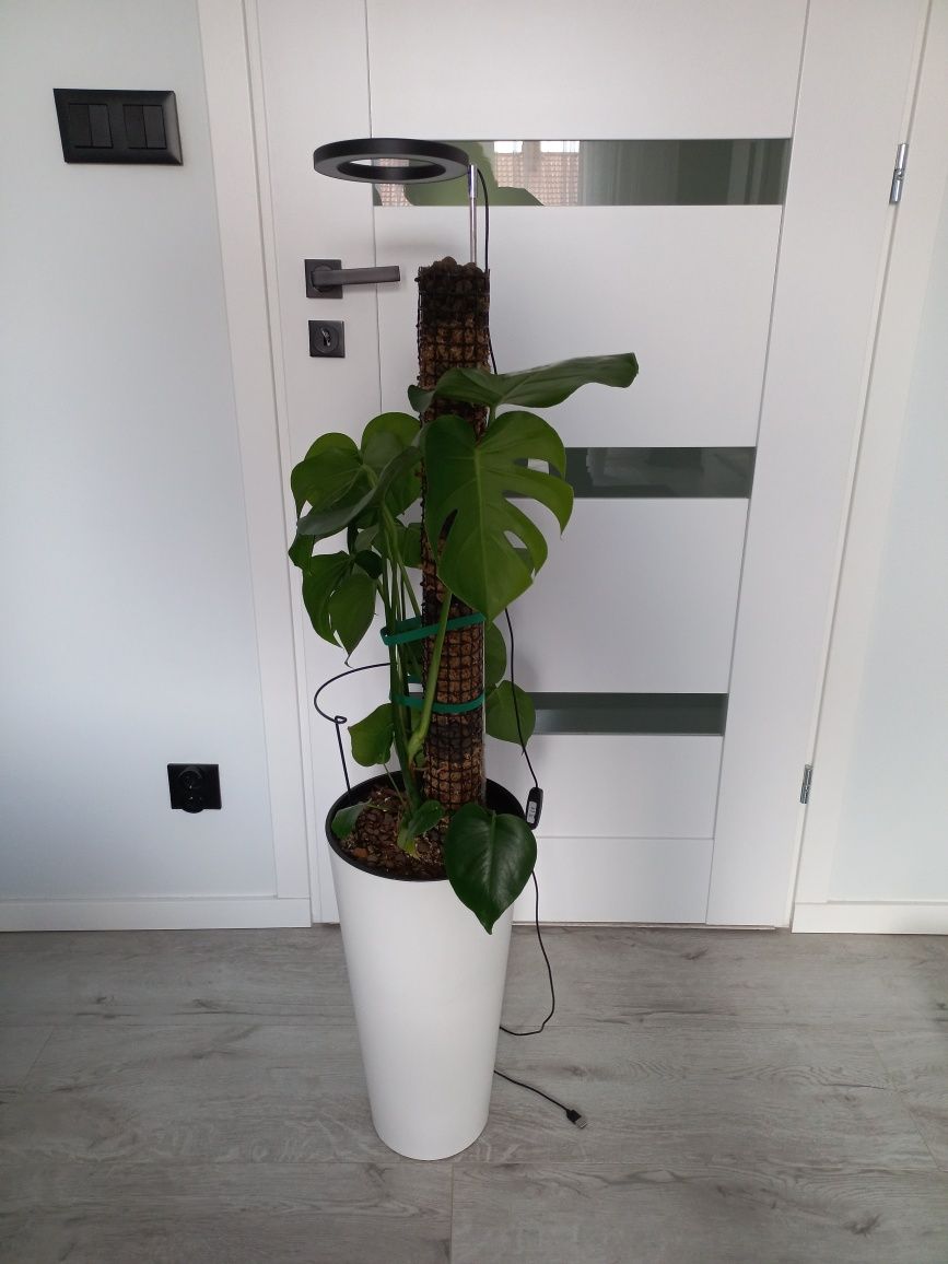 Lampa do uprawy roślin, wysoka, teleskopowa  do 170  cm