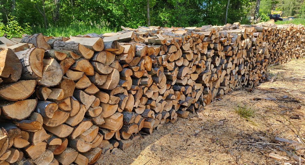 Drzewo drewno opałowe kominkowe grill wędzenie suche olcha olszyna tra