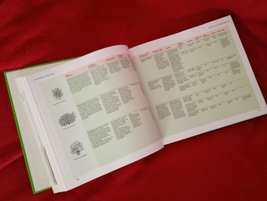 A Saúde Pela Natureza