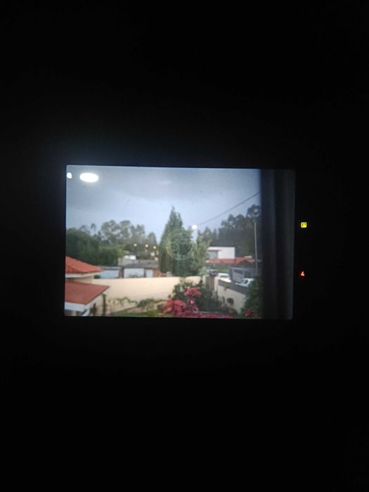 Canon AE-1 Program + Canon nFD 50mm f/1.8