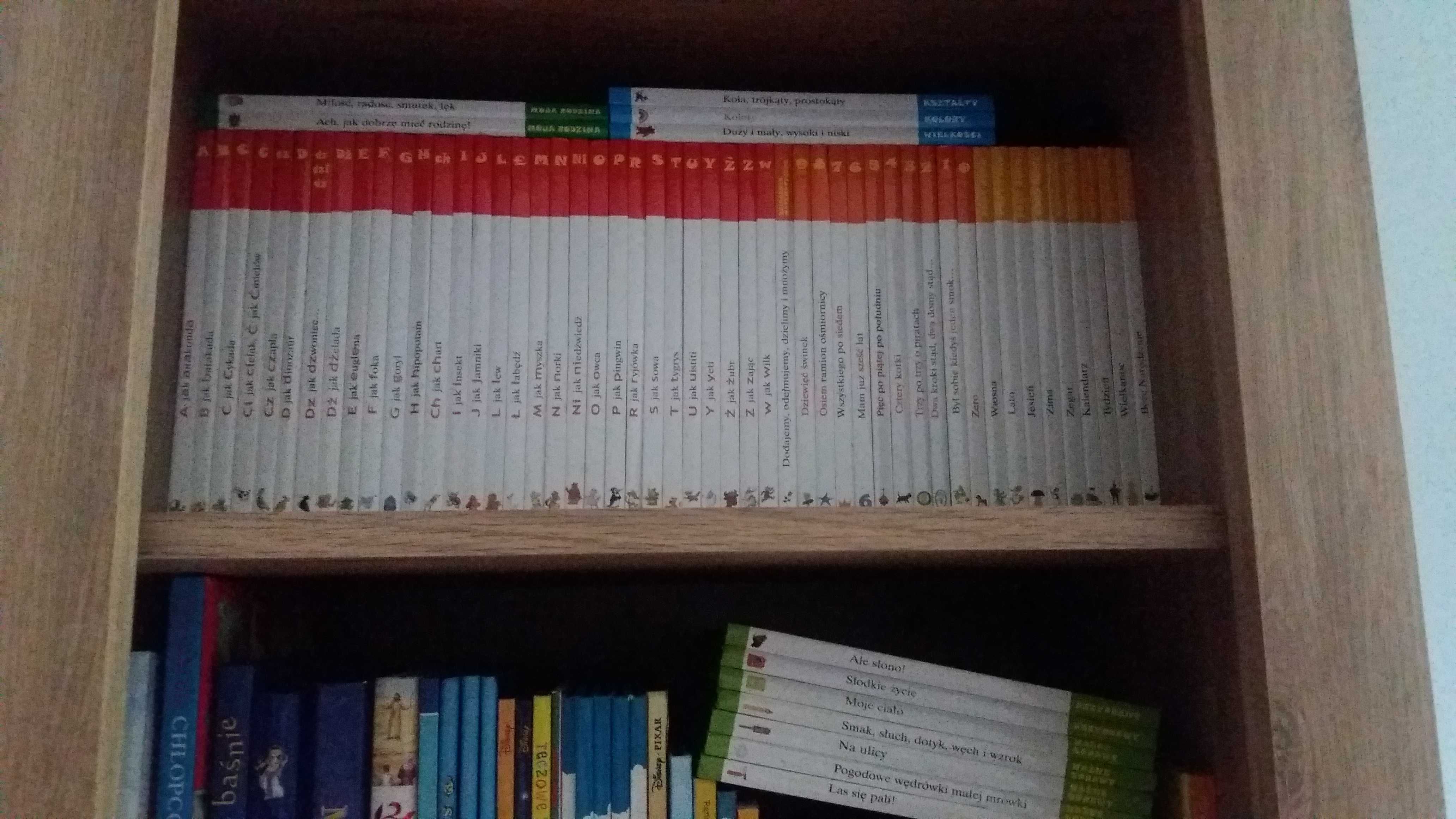 ABC uczę się 11szt Działania cyfry jak NOWE książki + karty edukacyjne