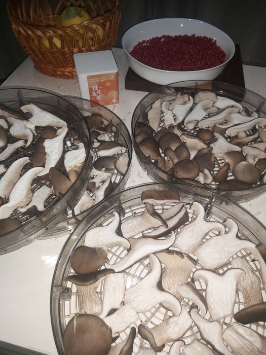 Вешенки .Гливы сушенные. Вешанки. Гливи сушені