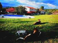 Casa de Férias na montanha