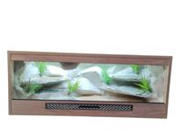 Terrarium pustynne nr707 100/40/40 dla agamy karłowatej DOSTĘPNE