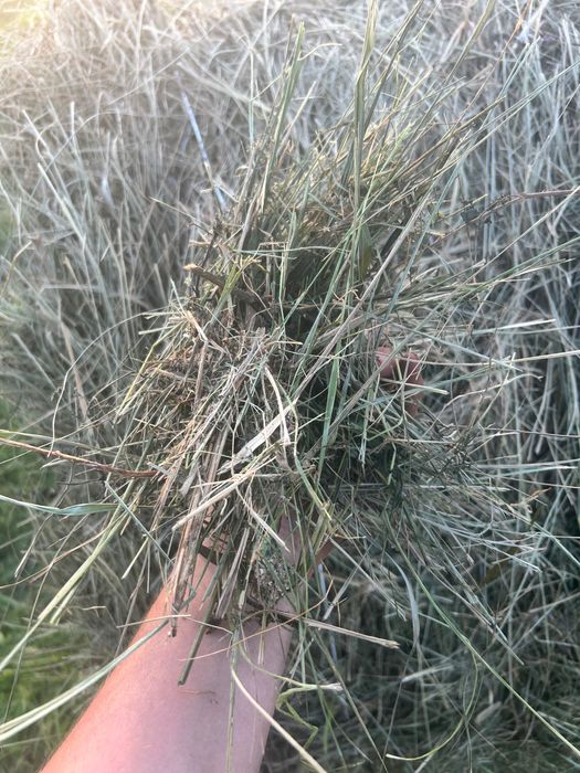 Sprzedam sianokiaszonke