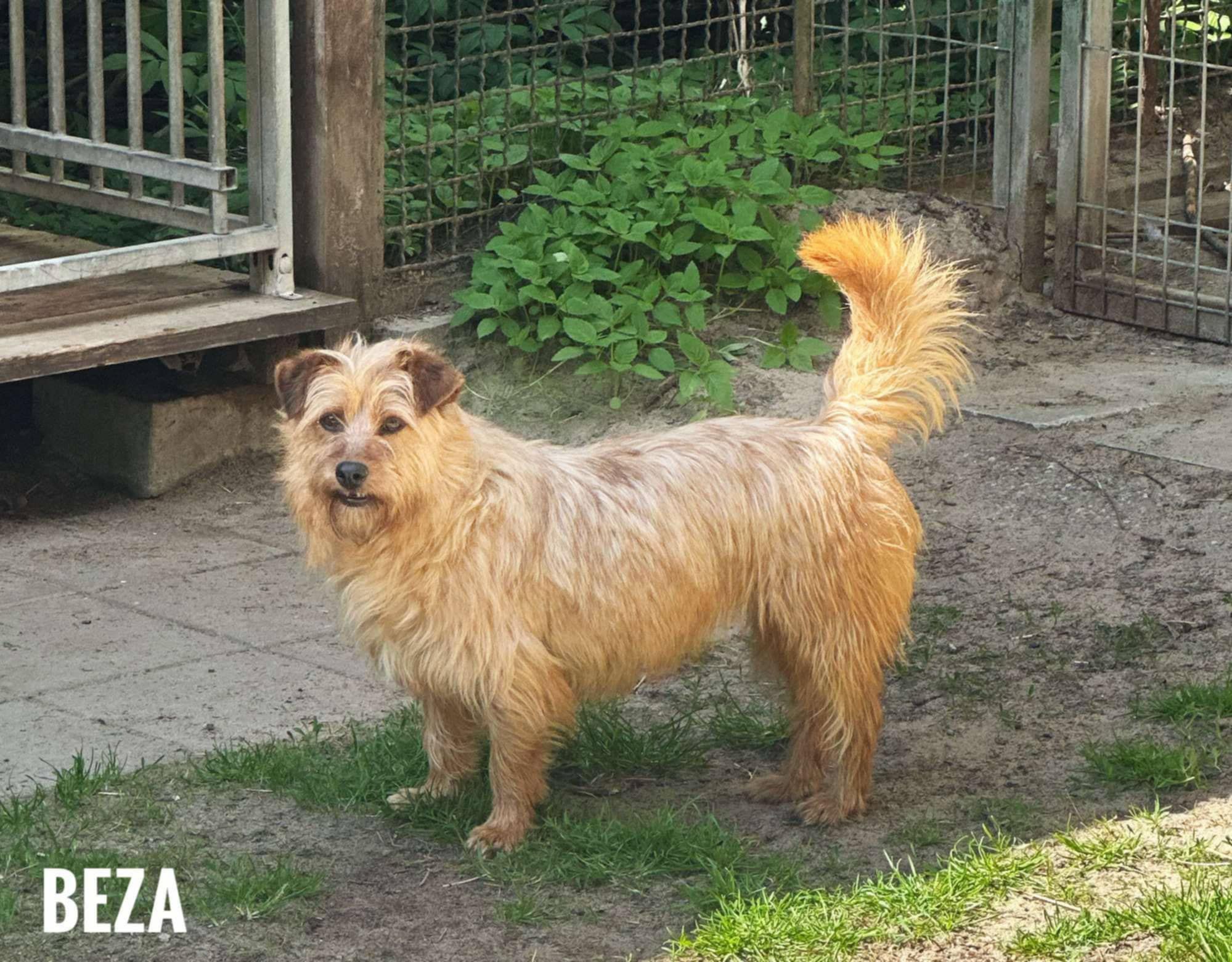 Zaginęła w Będzinie, ul Dąbrowska