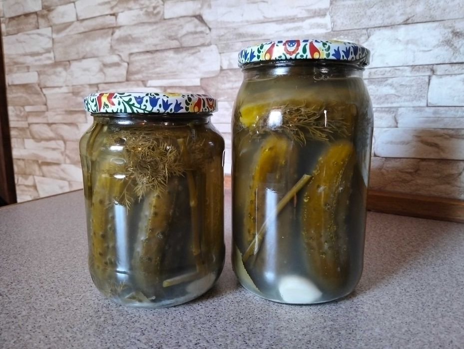 Domowe ogórki kiszone 2025