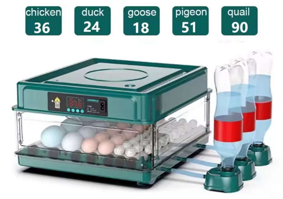 Chocadeira automática ovos de galinha coderniz patos
