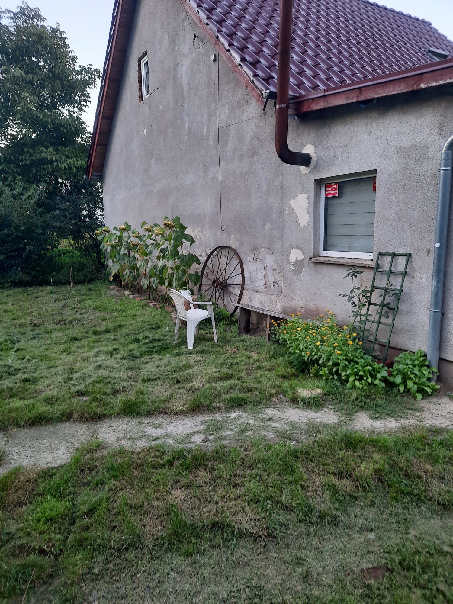 Działka na wsi,66-130 Przewóz,cisza, spokoj, lasy, stawy.