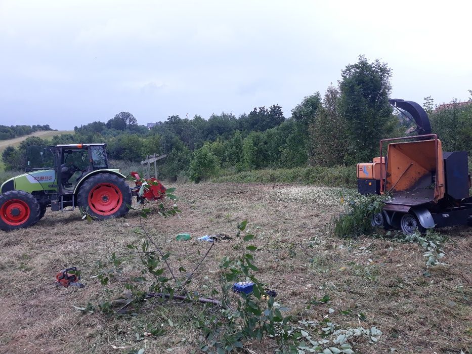 Wycinka drzew, karczowanie nieużytków, rębak, mulczer,