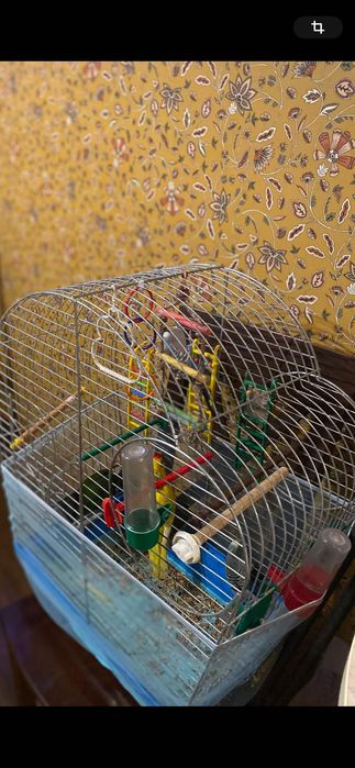 Клітка для папуги