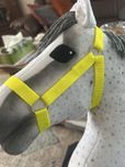 Kantar dla hobbyhorse A3