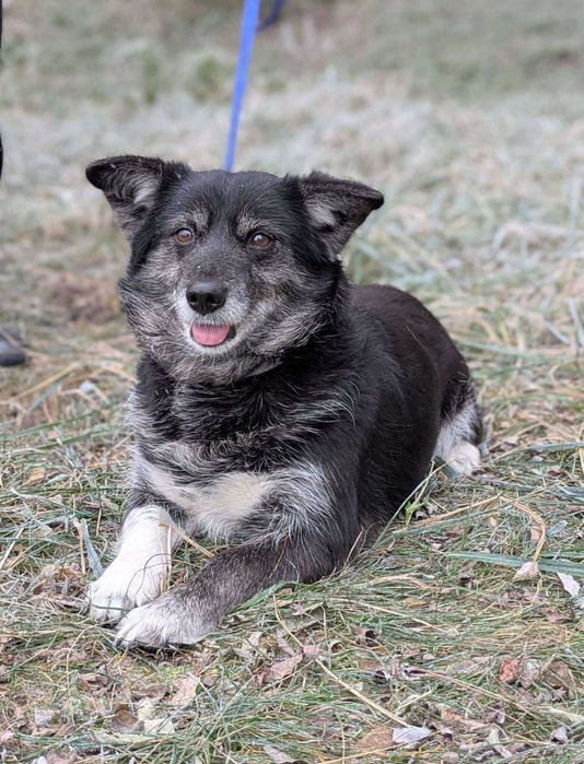 Manga- może los się do niej uśmiechnie