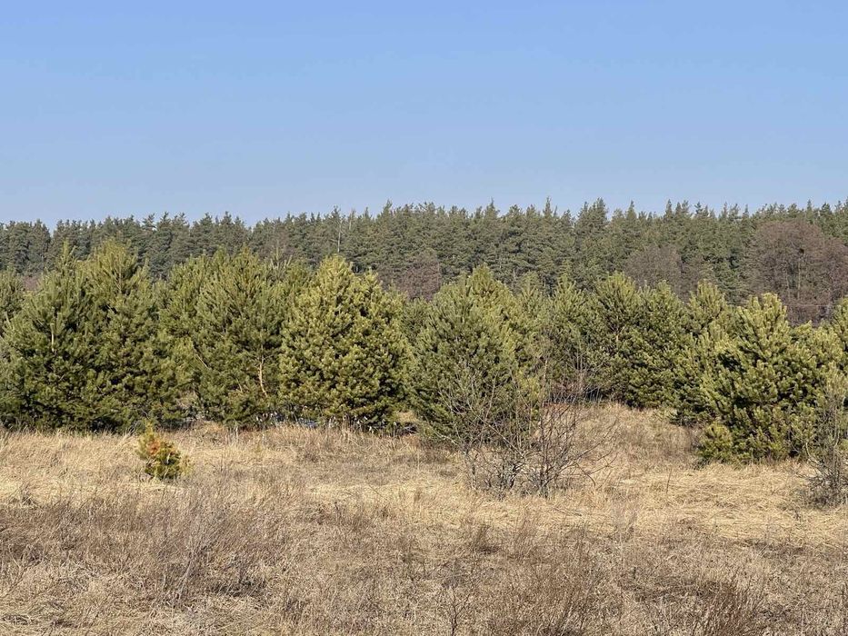 Продаж земельної ділянки в живописному місці с.Осикове Фастівський рай