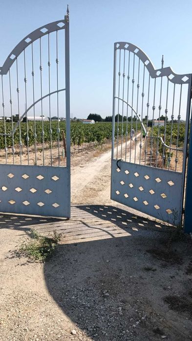 Terreno 31 mil m2 para construção de armazém,