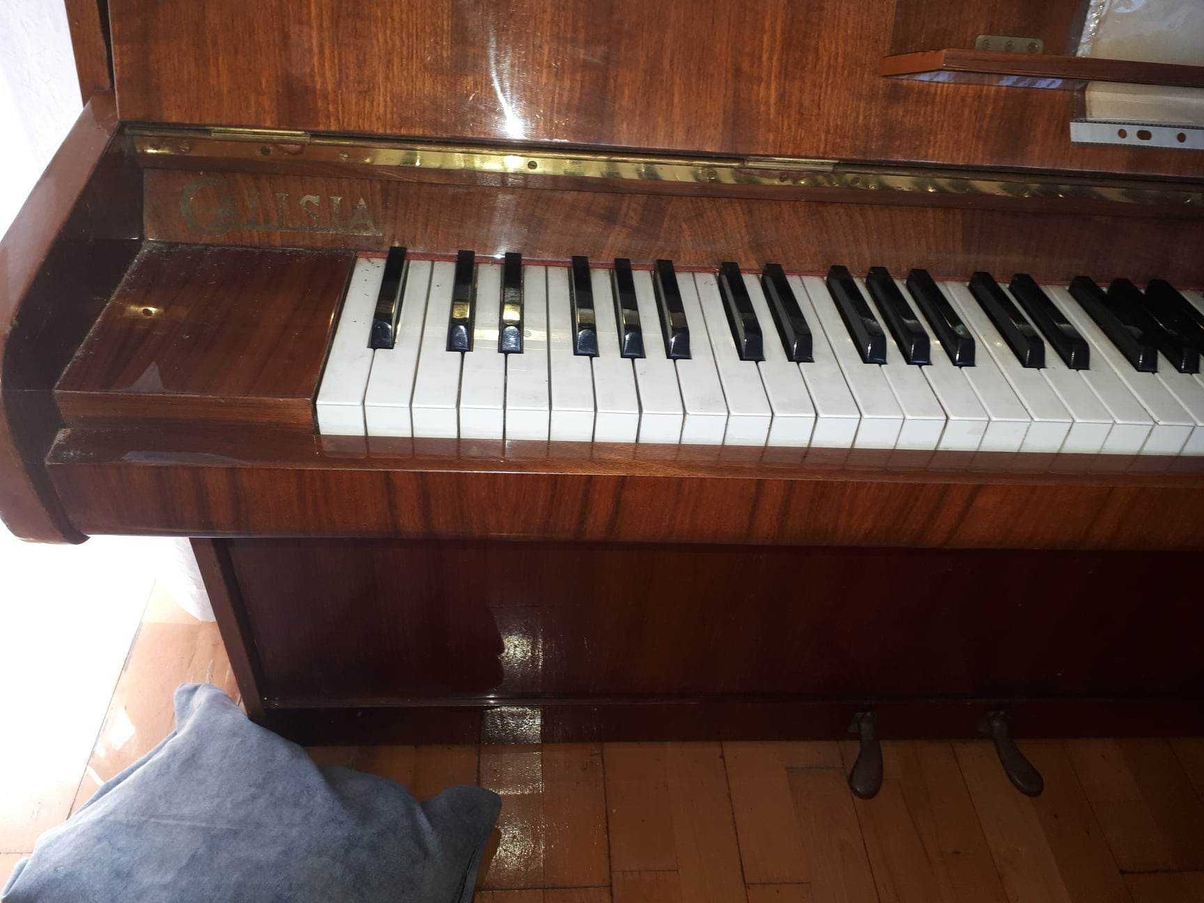 Pianino Calisia wraz z regulowaną ławką