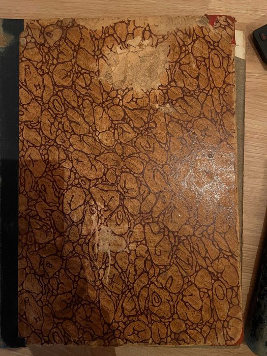 Album biograficzne zasłużonych Polaków i Polek wieku XIX