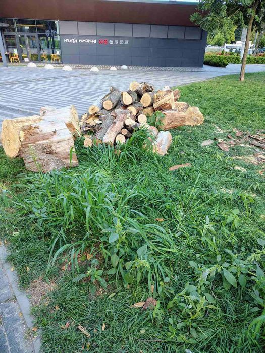 Підони віконні рами відходи акація дуб клен стара мебель