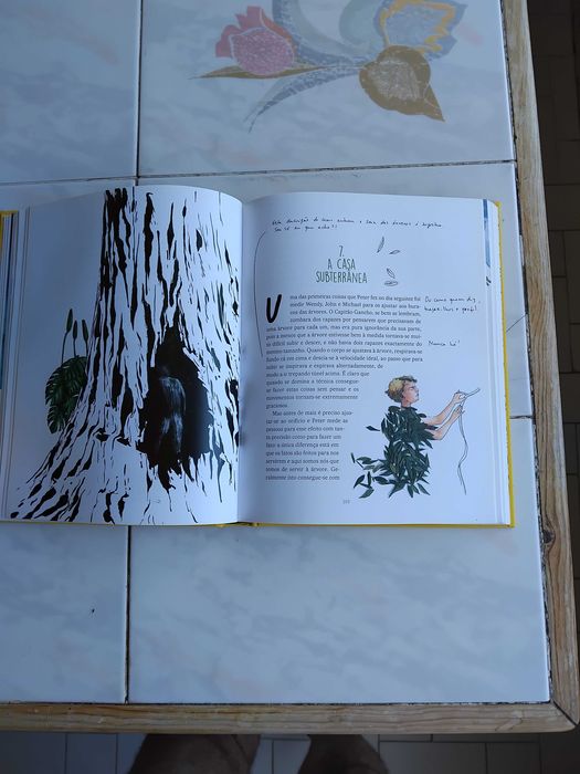 LIVRO JUVENIL/INFANTIL DE COLECÇÃO - "PETER PAN" DE J. M. BARRIE