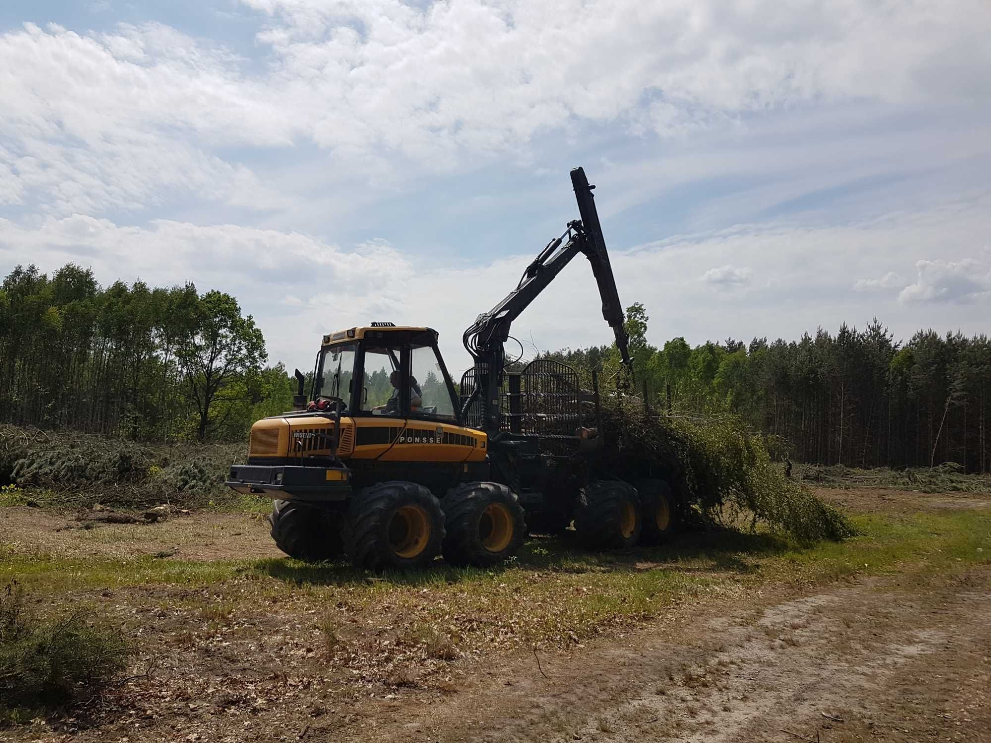 Wycinka samosiejek sadów drzew usługi zrywki Wynajem forwarder Ponsse