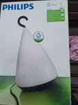 Lampa ogrodowa Philips