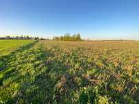 Działka Świątkowizna 3702 m2 z WZ