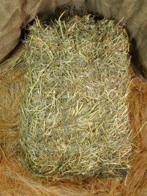 Продам сіно лугове