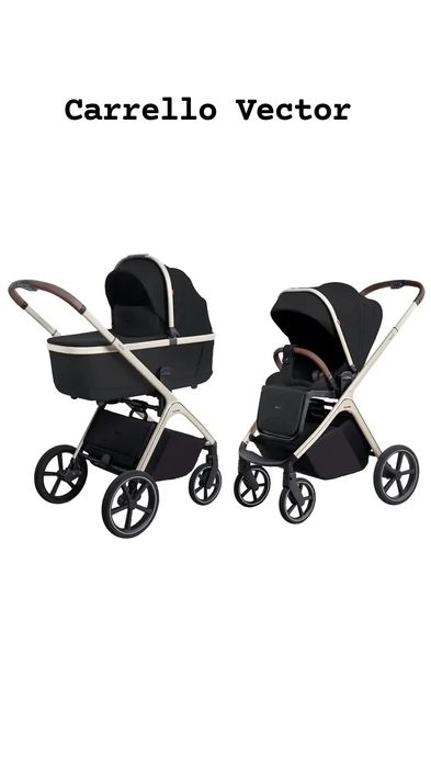 Дитяча коляска 2 в 1 Carrello Vector детская универсальная