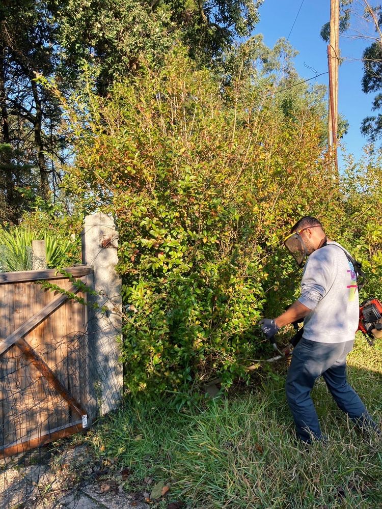 Serviços de jardinagem/Limpeza de terrenos