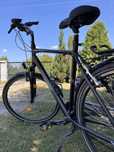 Rower trekkingowy Merida Freeway Men 9200