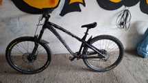 Dartmoor hornet rama L