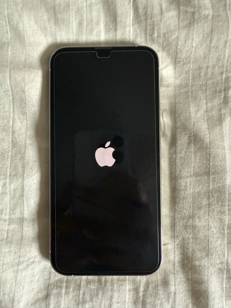 iPhone 13 Pro 256 GB