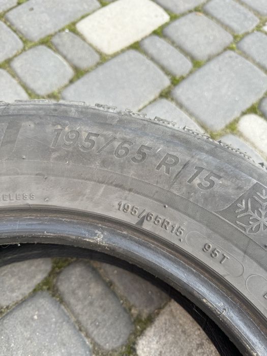195.65.15 Michelin Alpin 6