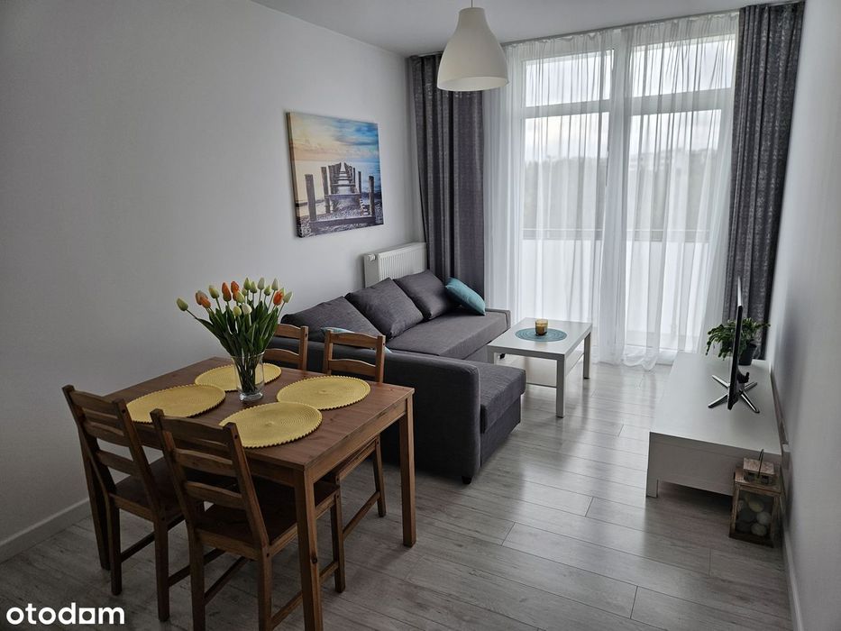 Wynajmę BEZPOŚREDNIO mieszkanie o powierzchni 38m2.