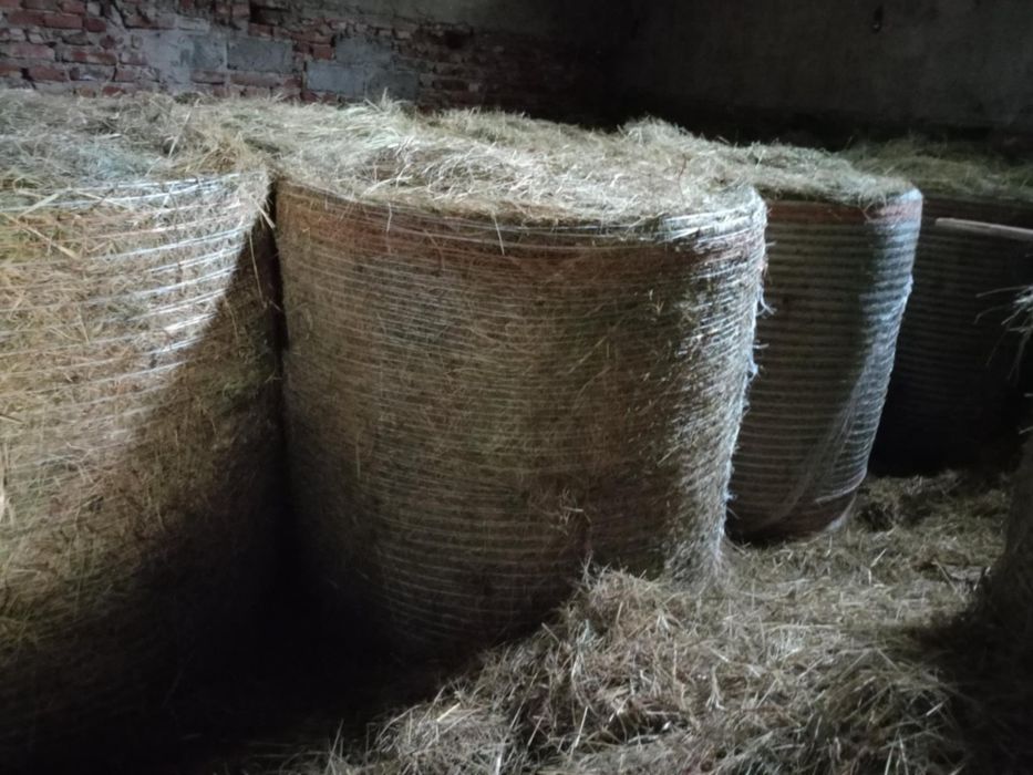 Sprzedam słomę oraz siano