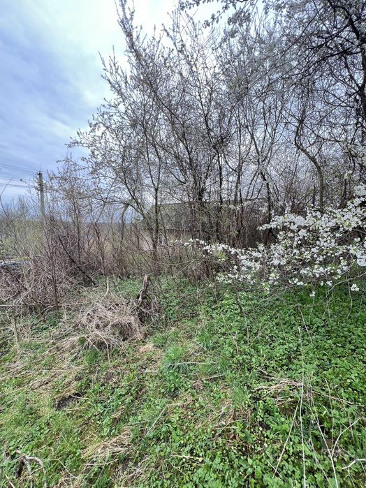 Терміновий продаж ! Ділянка під Будівництво . Вовчухи