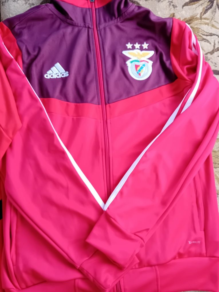 Sweet +casaco benfica