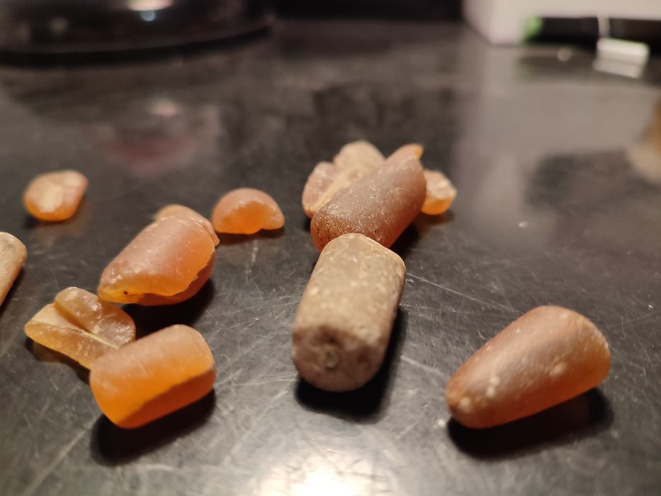 Skamieliny belemnita