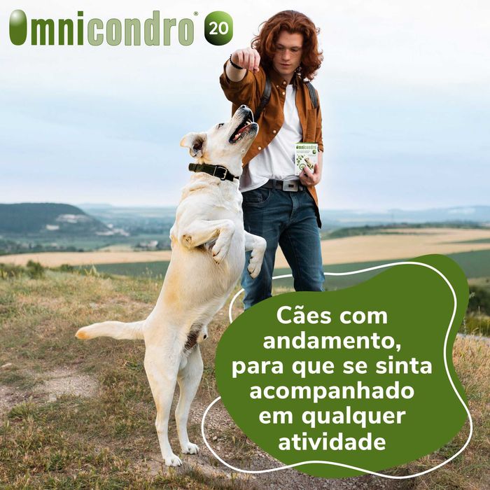 Omnicondro 20 (60 Comp.) | Entrega 24H | Envio Grátis+Oferta SURPRESA