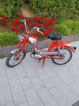 Motorower MotoBi Pesaro